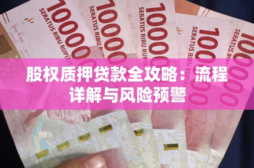 北京股权质押贷款全攻略：流程详解与风险预警