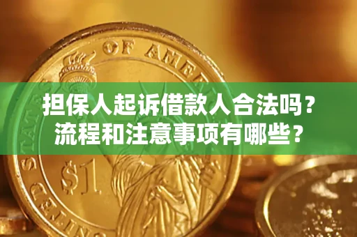 北京担保人起诉借款人合法吗？流程和注意事项有哪些？