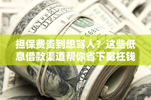 北京担保费贵到想骂人？这些低息借款渠道帮你省下冤枉钱