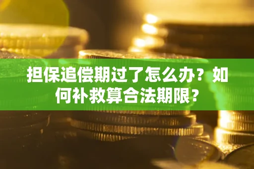 北京担保追偿期过了怎么办？如何补救算合法期限？