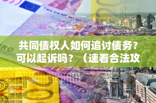 北京共同债权人如何追讨债务？可以起诉吗？（速看合法攻略）