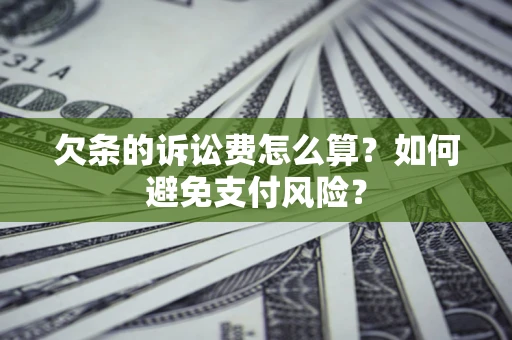 北京欠条的诉讼费怎么算？如何避免支付风险？