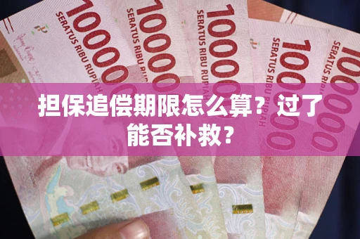 北京担保追偿期限怎么算？过了能否补救？